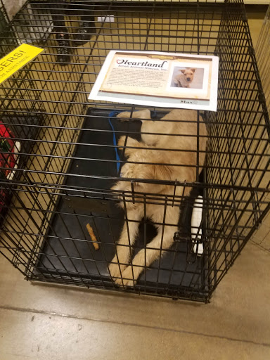 Pet Supply Store «PetSmart», reviews and photos, 4540 Grape Rd, Mishawaka, IN 46545, USA