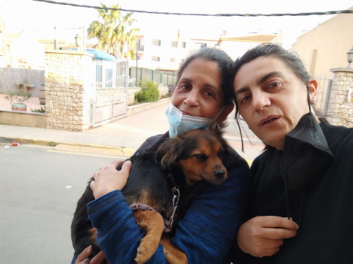 Agatameus Veterinaria en Deltebre