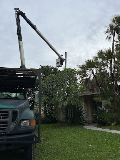 Your Kind of Tree Services
