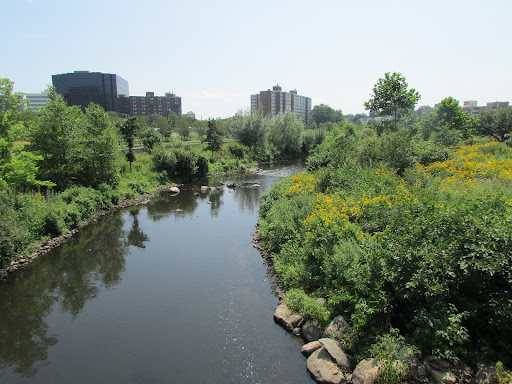 Ecological park Stamford