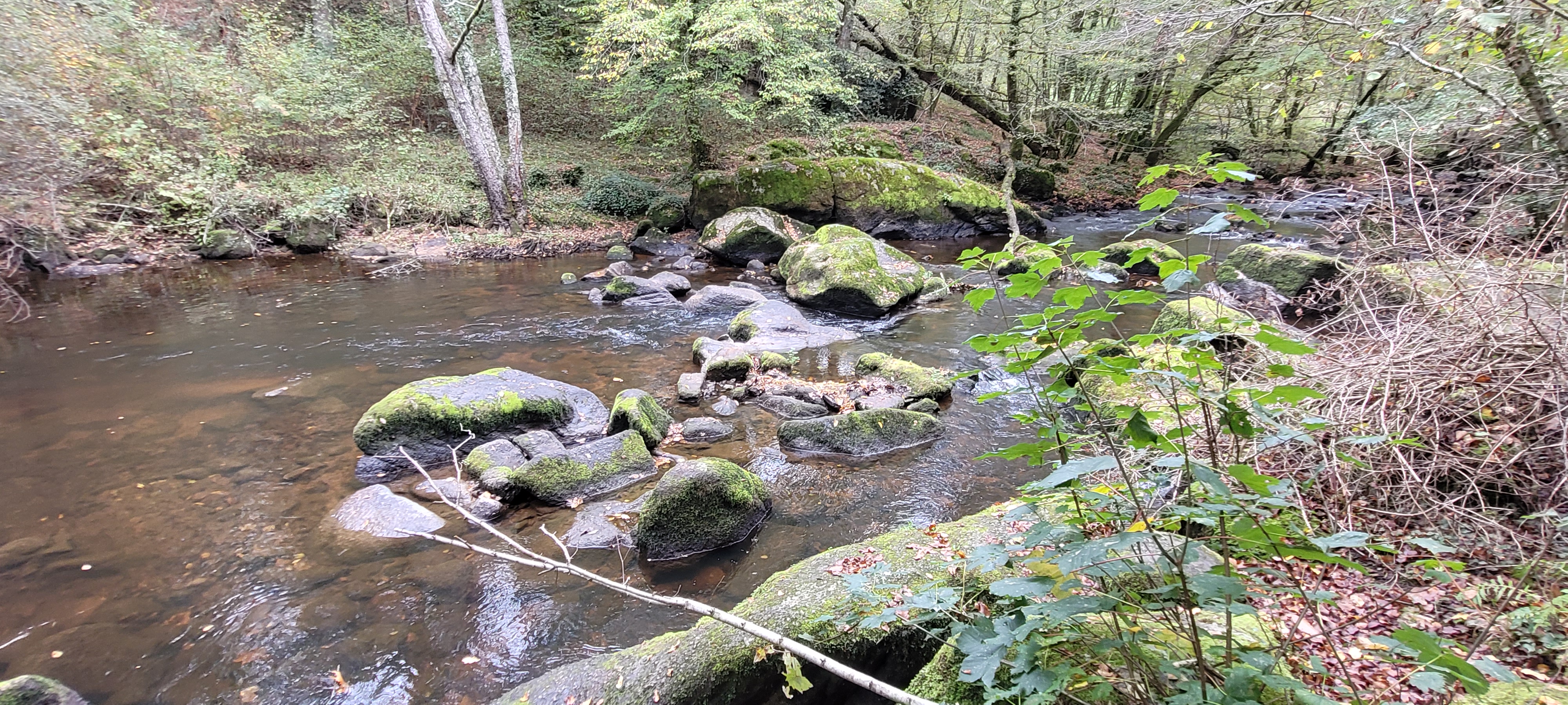 Photo n° 9 de l'avis de Christian.a fait le 30/10/2022 à 11:08
