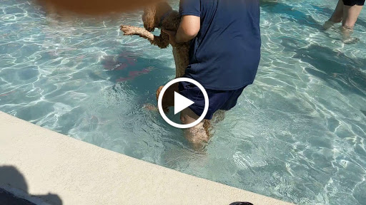 Recreation Center «Oak Point Recreation Center», reviews and photos, 6000 Jupiter Rd, Plano, TX 75074, USA