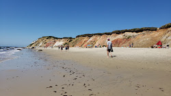 Gay Head Town Beach'in fotoğrafı doğal alan içinde bulunmaktadır