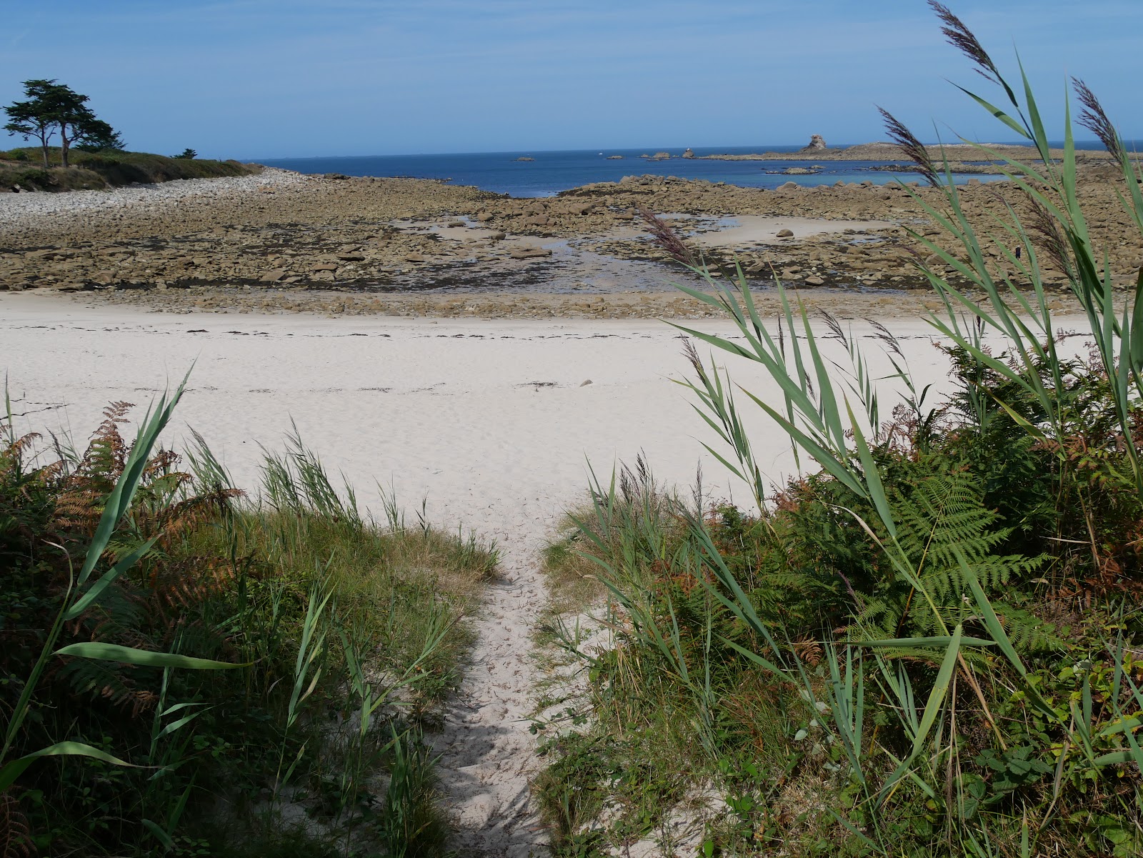 Foto de Plage de Porz Gwenn y el asentamiento