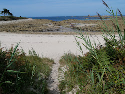 Photo de Plage de Porz Gwenn - endroit populaire parmi les connaisseurs de la détente