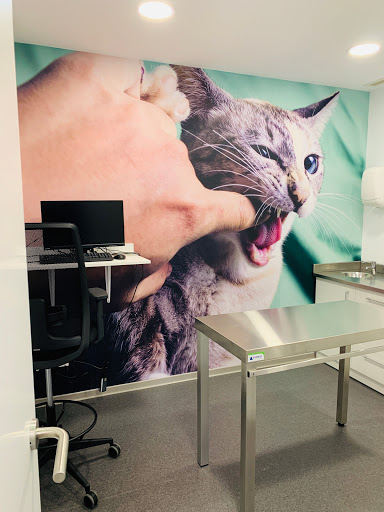 Mivet Hospital Veterinario Faycan Catarroja en Catarroja