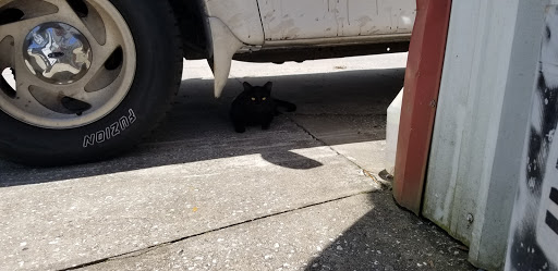 Auto Repair Shop «Palm Coast Auto Repair», reviews and photos, 11 Hargrove Grde, Palm Coast, FL 32137, USA