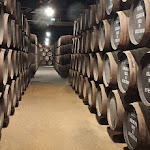 Photo n°1 de l'avis de Chris.i fait le 17/08/2023 à 09:30 sur le  Vinum à Porto