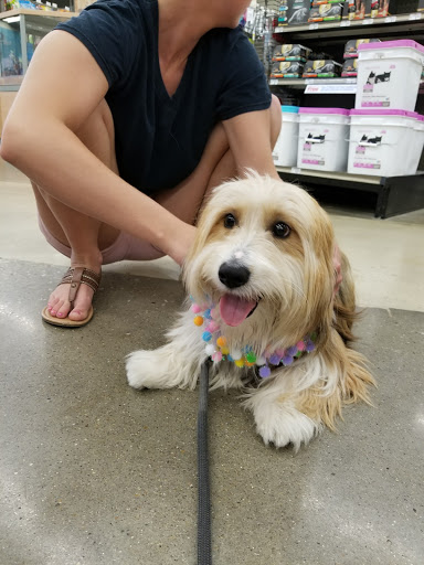 Pet Supply Store «Petco Animal Supplies», reviews and photos, 1680 Campbell Ln, Bowling Green, KY 42104, USA