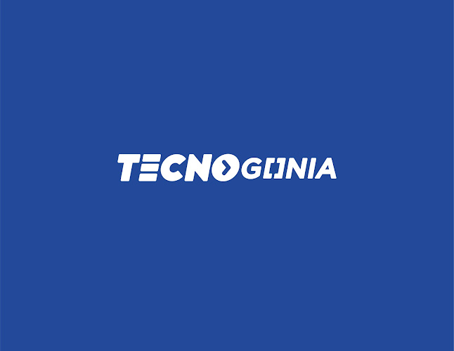 Opiniones de Tecnogonia en Punta Arenas - Diseñador de sitios Web