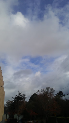 Dollar Store «Dollar Tree», reviews and photos, 1111 Myrtle Avenue Ste 5, Eureka, CA 95501, USA