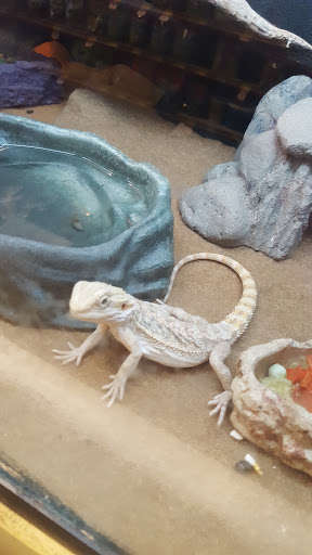 Pet Supply Store «PetSmart», reviews and photos, 860 NE Mall Blvd, Hurst, TX 76053, USA