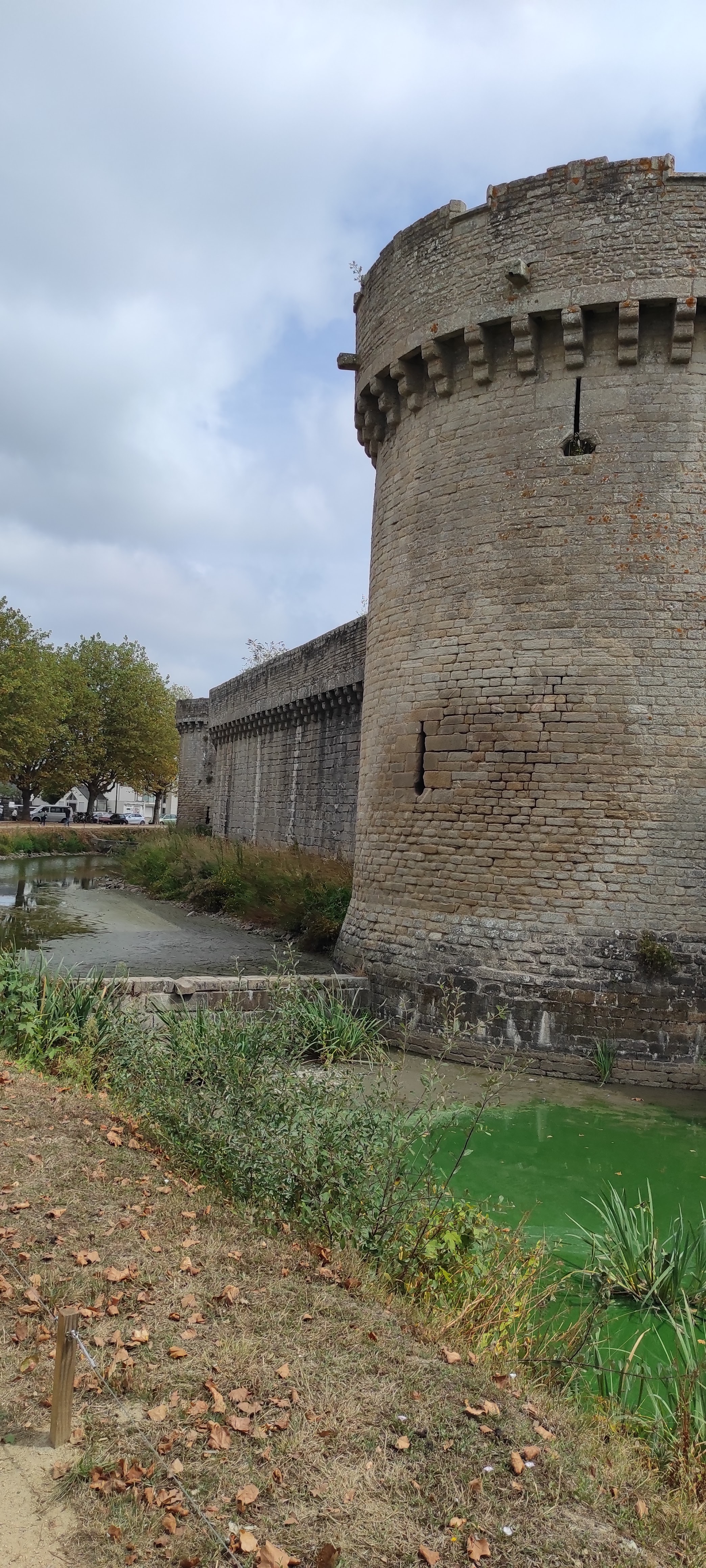 Photo n° 4 de l'avis de Guillaume.a fait le 15/08/2022 à 20:41
