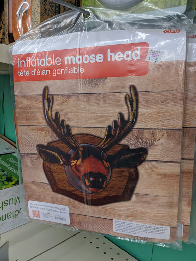 Discount Store «Ocean State Job Lot», reviews and photos, 180 Milk St, Westborough, MA 01581, USA