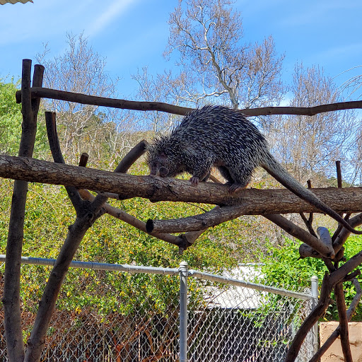 Zoo «Central Coast Zoo Society», reviews and photos, 9305 Pismo Ave, Atascadero, CA 93422, USA