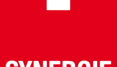 Agence Synergie Tertiaire & Cadres à Grenoble