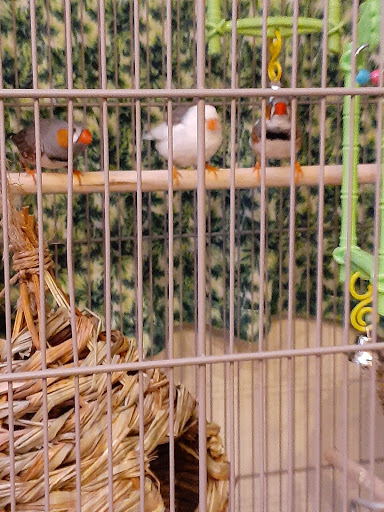 Pet Supply Store «PetSmart», reviews and photos, 8281 Troy Pike, Huber Heights, OH 45424, USA