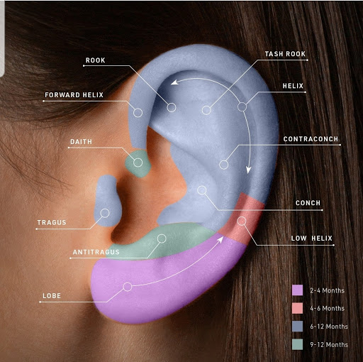 Tattoo Shop «Timeless Craft Tattoo Gallery», reviews and photos, 8083 W Sample Rd, Coral Springs, FL 33065, USA