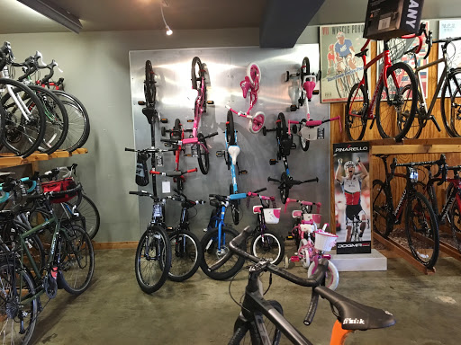Bicycle Store «Handlebars Cycle Company», reviews and photos, 685 Englewood Ave, Buffalo, NY 14223, USA