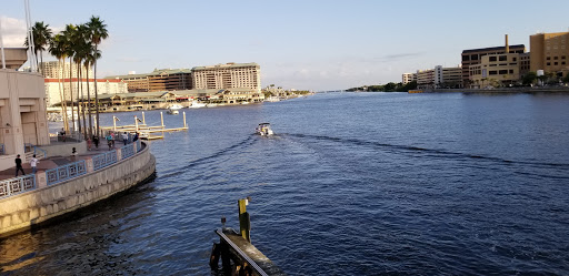 Tourist Attraction «Kraken CycleBoats», reviews and photos, 333 S Franklin St, Tampa, FL 33602, USA