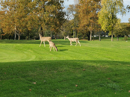 Golf Course «Lake of the Woods Golf Course», reviews and photos, 405 N Lake of the Woods Rd, Mahomet, IL 61853, USA