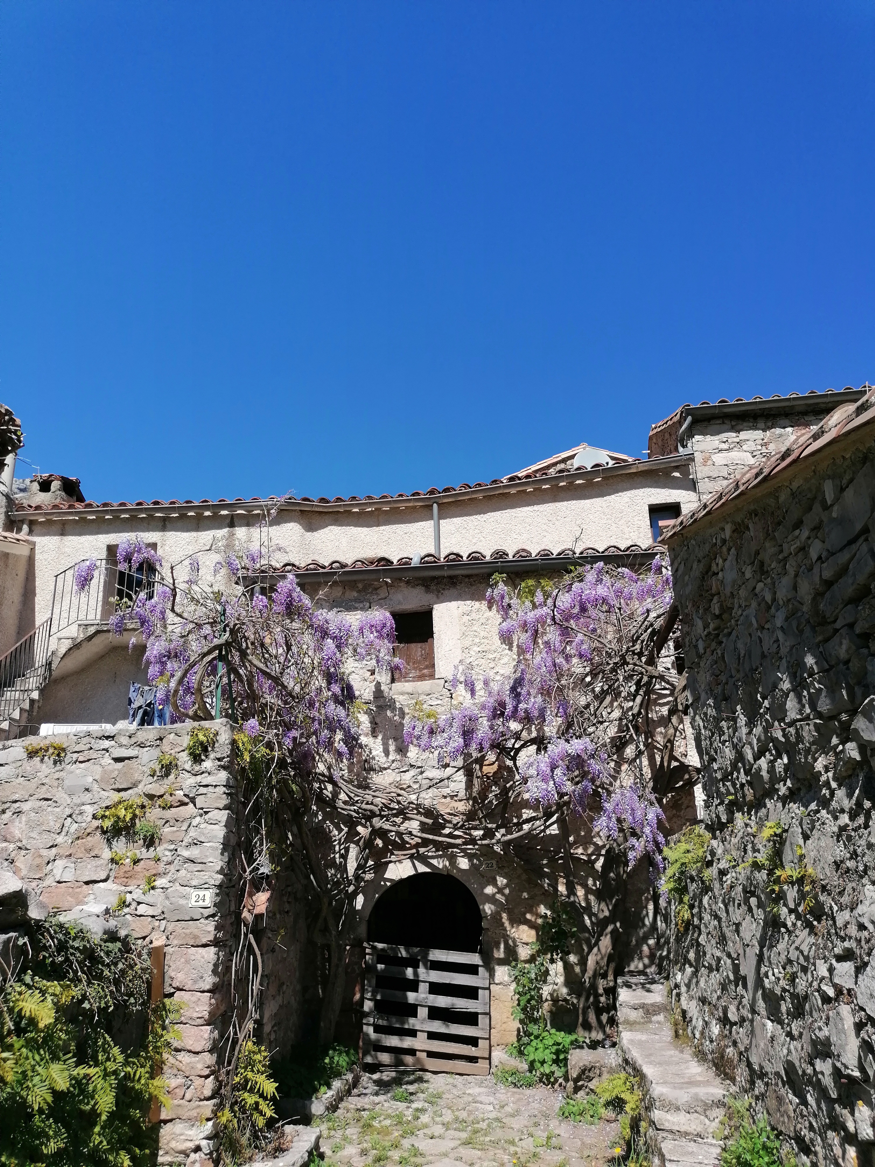 Photo n° 5 de l'avis de choji.a fait le 27/04/2022 à 18:16