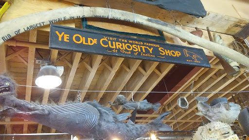 Souvenir Store «Ye Olde Curiosity Shop», reviews and photos, 1001 Alaskan Way, Seattle, WA 98104, USA