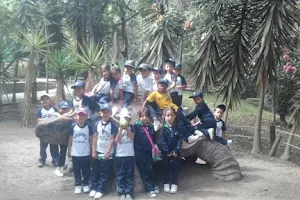 Zoológico de Quito image