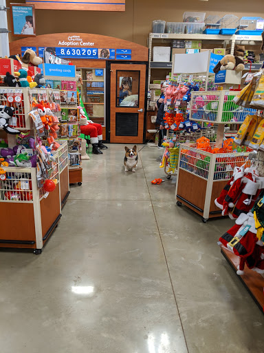 Pet Supply Store «PetSmart», reviews and photos, 2102 W Union Blvd #22A, Bethlehem, PA 18018, USA