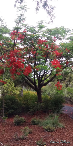 Park «Cypress Preserve Park», reviews and photos, 9020 NW 38th St, Sunrise, FL 33351, USA