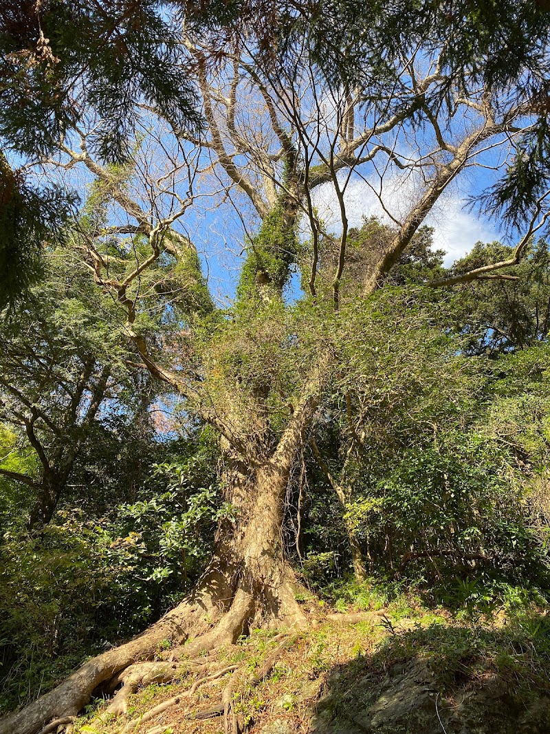 御客神社