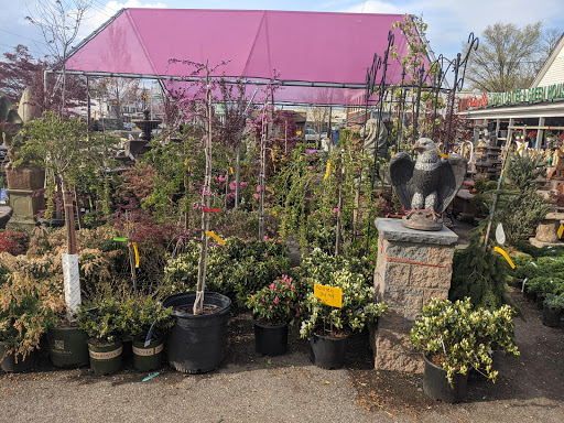 Market «Rising Up Garden Center, Landscape Design, & Florist», reviews and photos, 1314 St George Ave, Avenel, NJ 07001, USA