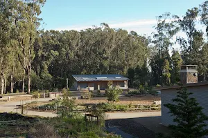 Rob Hill Campground image