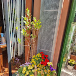 Photo n°12 de l'avis de Desiree.i fait le 14/05/2022 à 09:35 sur le  stryx à Brisighella