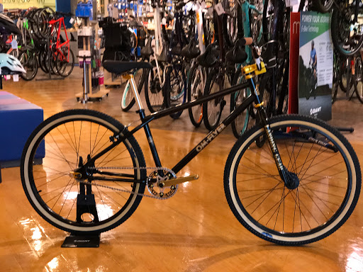 Bicycle Store «Brandywine Bikes», reviews and photos, 1812 Marsh Rd, Wilmington, DE 19810, USA