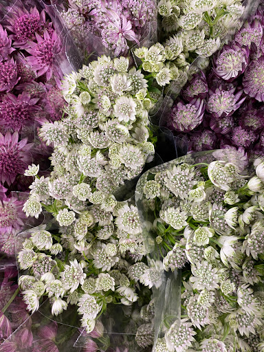 Florist «Sequoia Floral International», reviews and photos, 3245 Santa Rosa Ave, Santa Rosa, CA 95407, USA