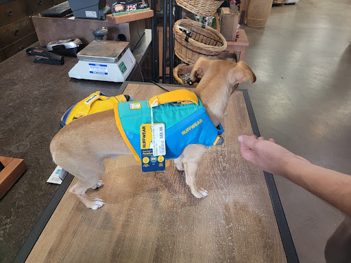 Pet Supply Store «Mud Bay», reviews and photos, 2410 Harrison Ave NW, Olympia, WA 98502, USA