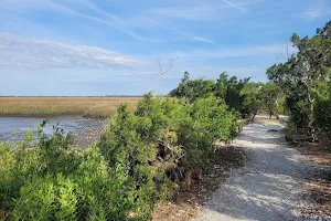 Timucuan Preserve parking for trails image