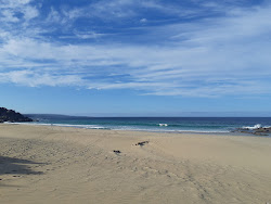 Foto af Honeycombs Beach beliggende i naturområde