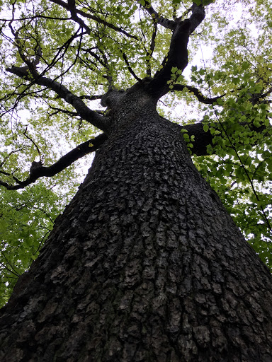 Nature Preserve «Eidolon Nature Preserve», reviews and photos, 2146 Orleans Rd, Great Cacapon, WV 25422, USA