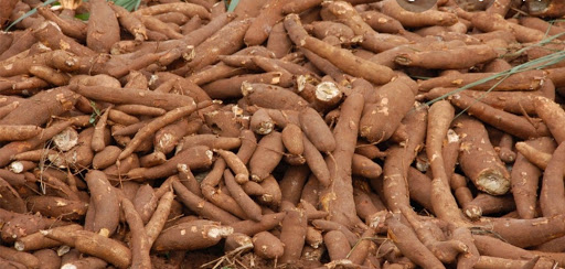 Top 3 cửa hàng bkav Huyện Tân Châu Tây Ninh 2022