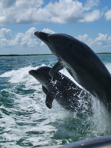 Boat Tour Agency «Dolphin Snorkeling Cruise», reviews and photos, 4630 29th Ave S, Gulfport, FL 33711, USA