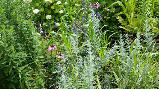 Towing Service «Abel Towing Wrecker & Auto Service», reviews and photos, 1717 Belvidere St, Waukegan, IL 60085, USA