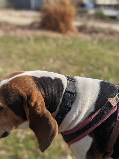 Winery «Fireside Winery», reviews and photos, 1755 P Ave, Marengo, IA 52301, USA