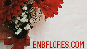 Bnb flores