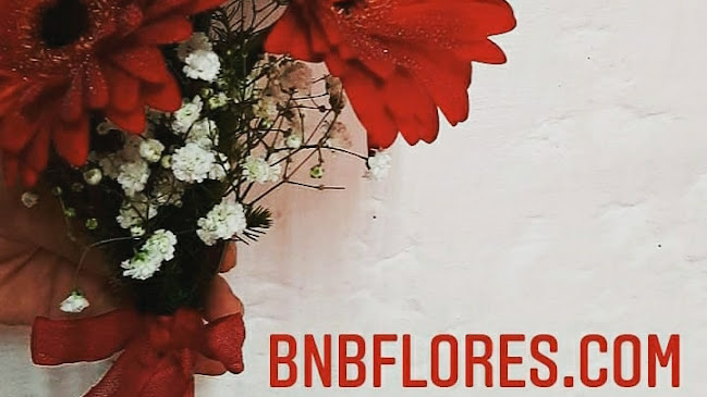 Bnb flores