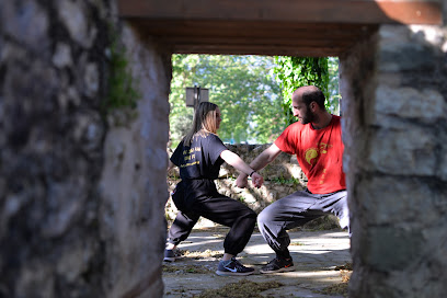 Academy of Chinese Martial Arts