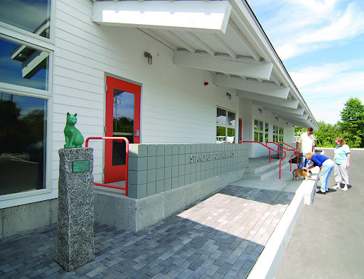 Stand Up For Animals