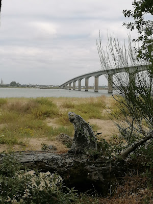 Plage de la muse du loup , Golfe-de-Gascogne à La Tremblade