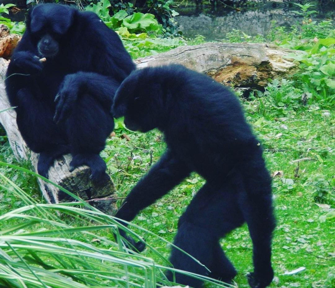 Photo n° 4 de l'avis de Hélène.a fait le 10/02/2019 à 20:47